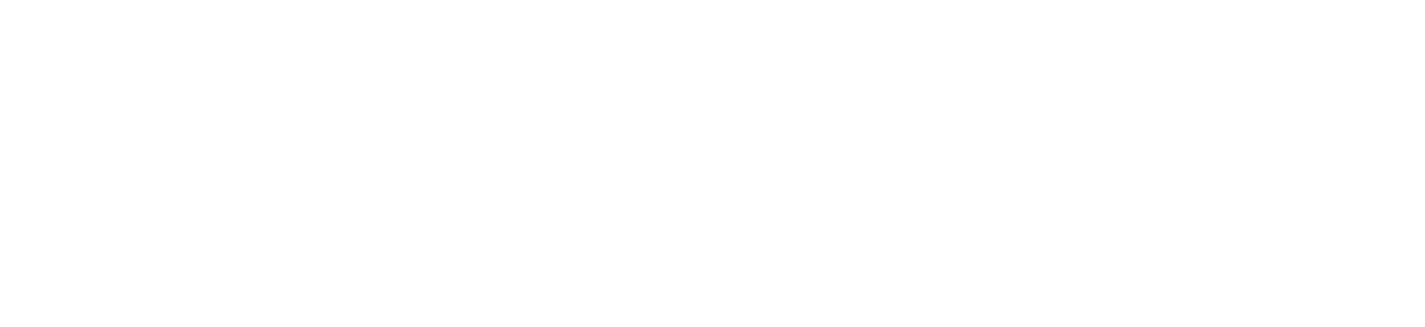 Wordpress Logo